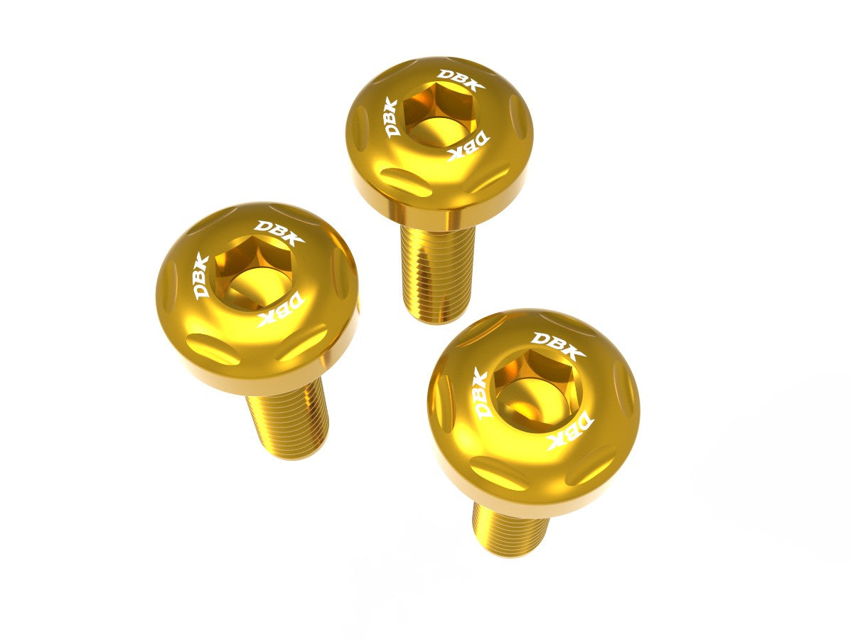 Ducati Panigale V2 2025 Exhaust Cover Screws Kit