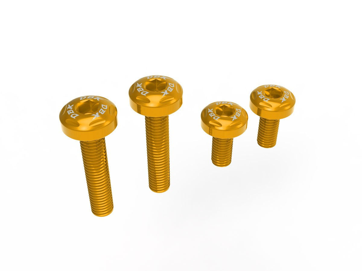 Ducati Streetfighter/Panigale V2 2025 Under-Tail Screw Kit