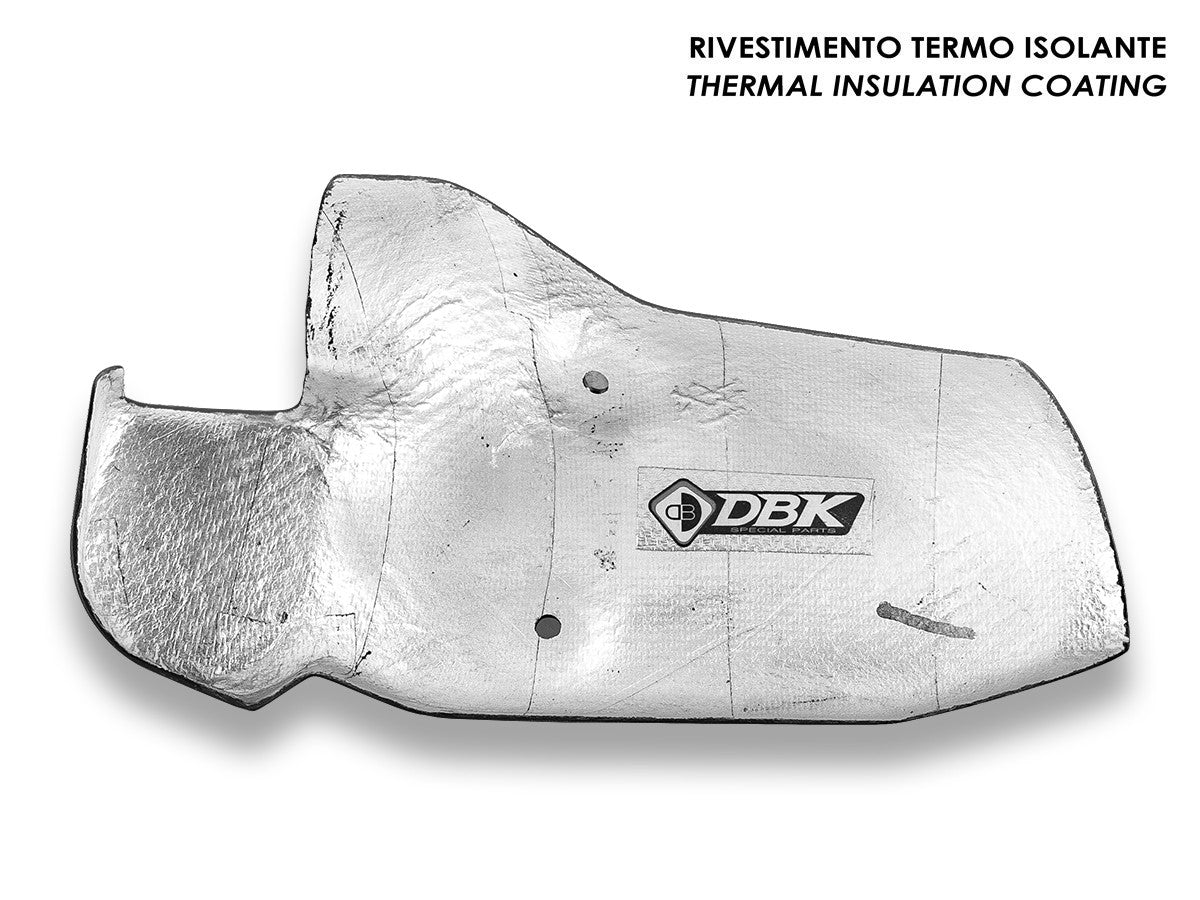 Ducabike DBK BMW R1300GS Matt Carbon Exhaust Guard