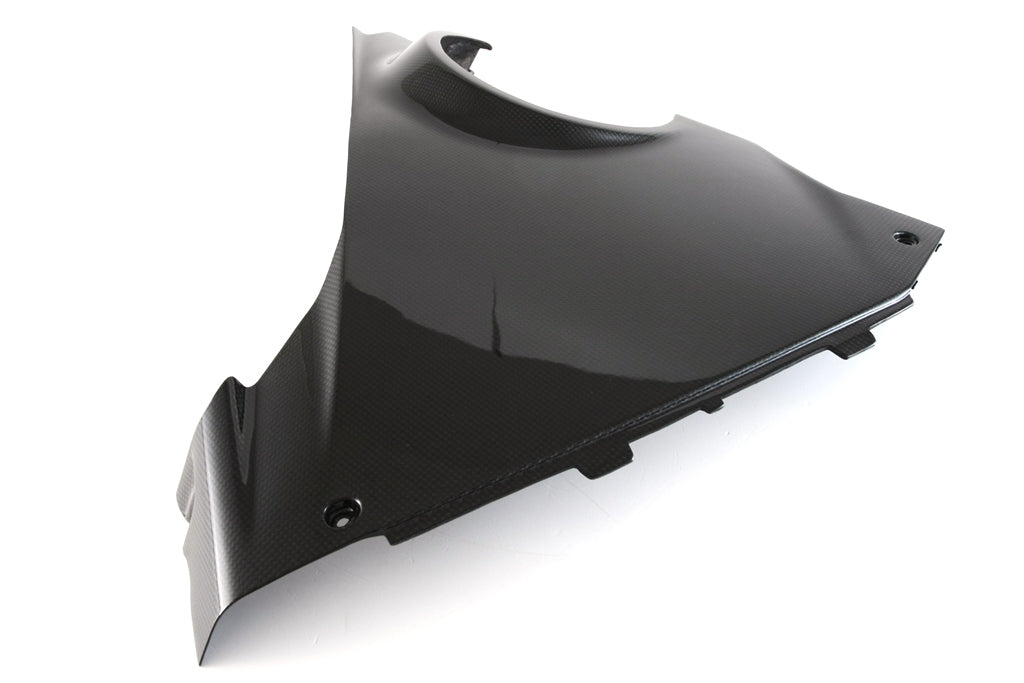Fairing Side Panel - Lower Right