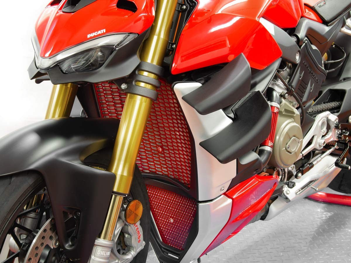 Gr09 SFV4 H2O Radiator Guard