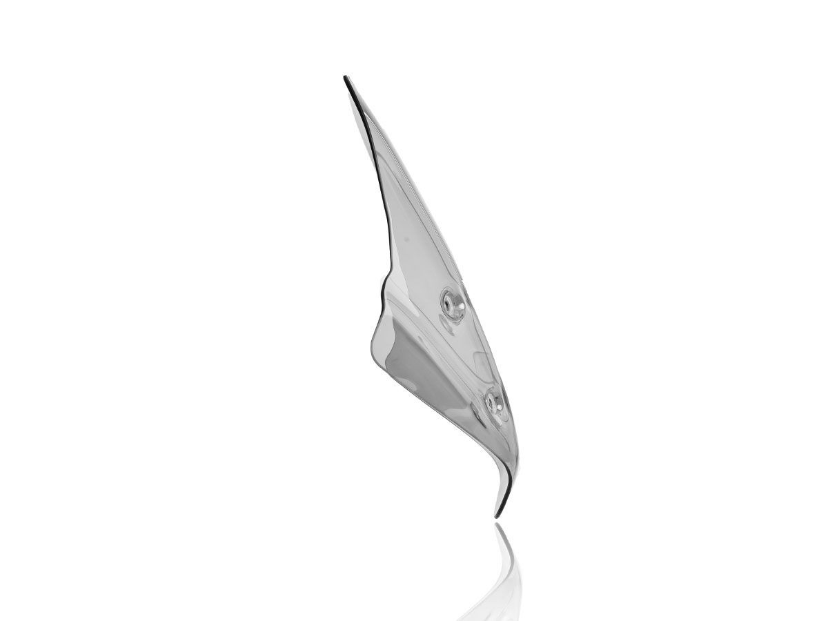 WRS STANDARD WINDSCREEN BMW R1250R 2019-2024