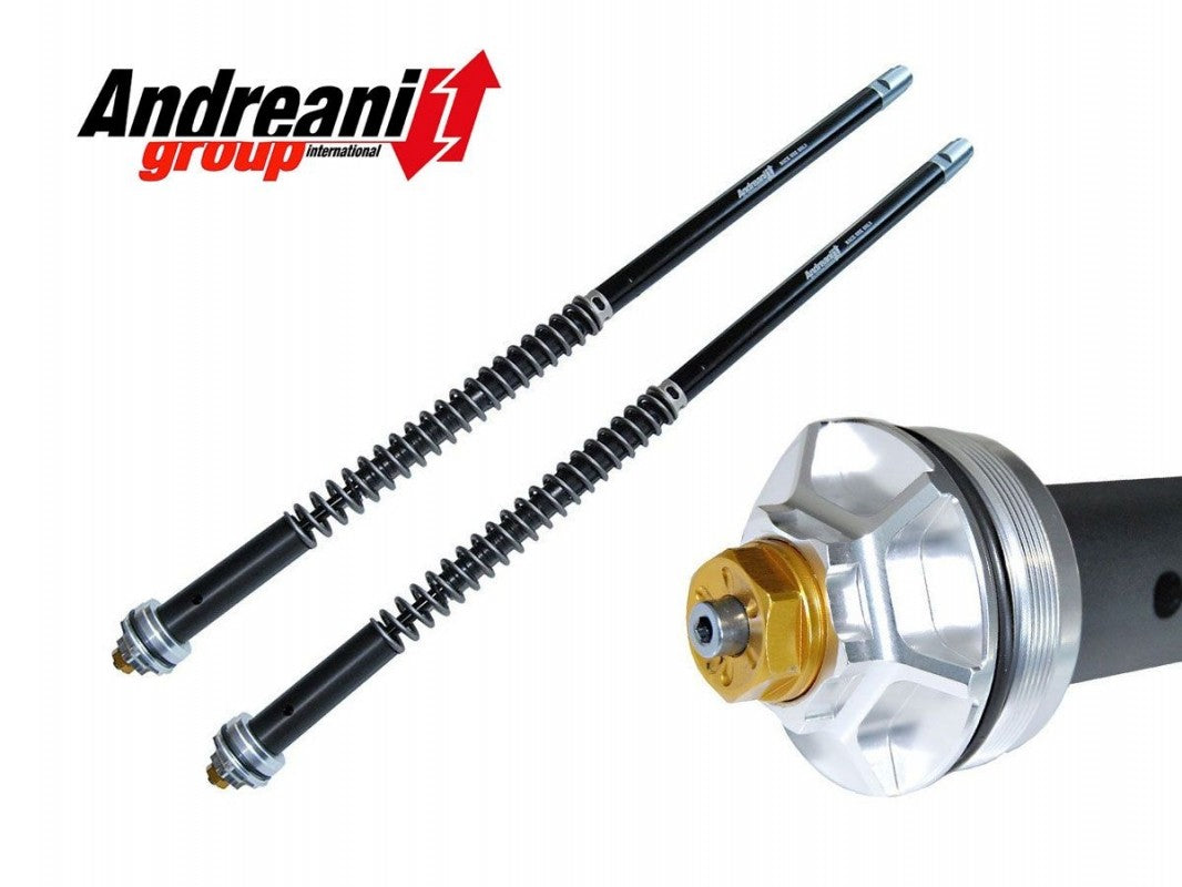CFD105/T26E Triumph Speed Twin 1200 Adjustable Cartridge Kit