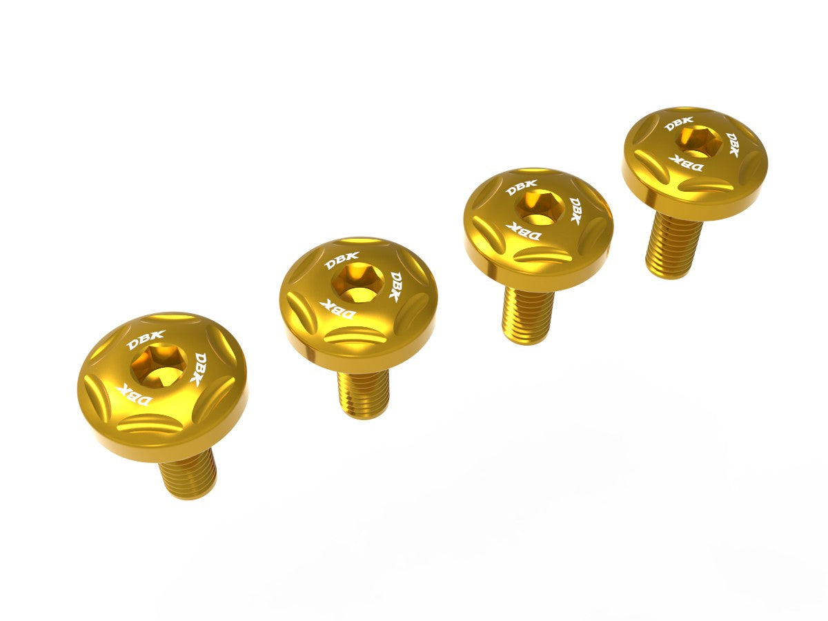 Ducati Panigale V4 2025 Front Fender Screw Kit