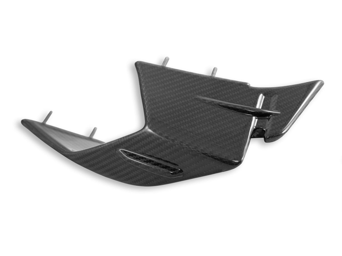 Ducabike DBK BMW S1000RR MY23 Glossy Carbon Winglets