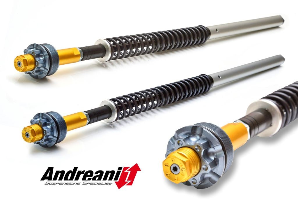 CFD105/D03 M696 (Showa) Adjustable Cartridge Kit