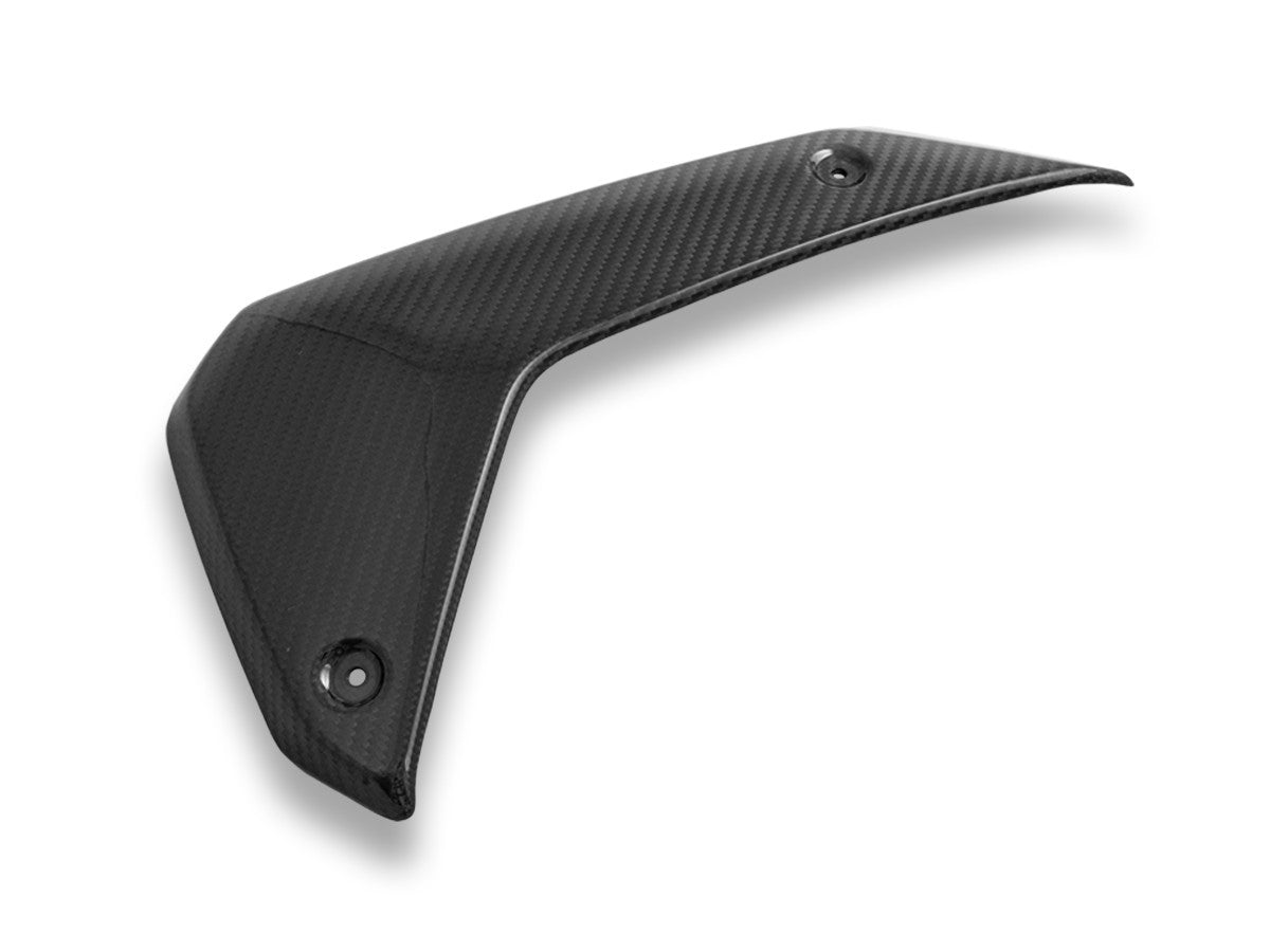 BMW R1300GS Glossy Carbon Side Fairing Panels
