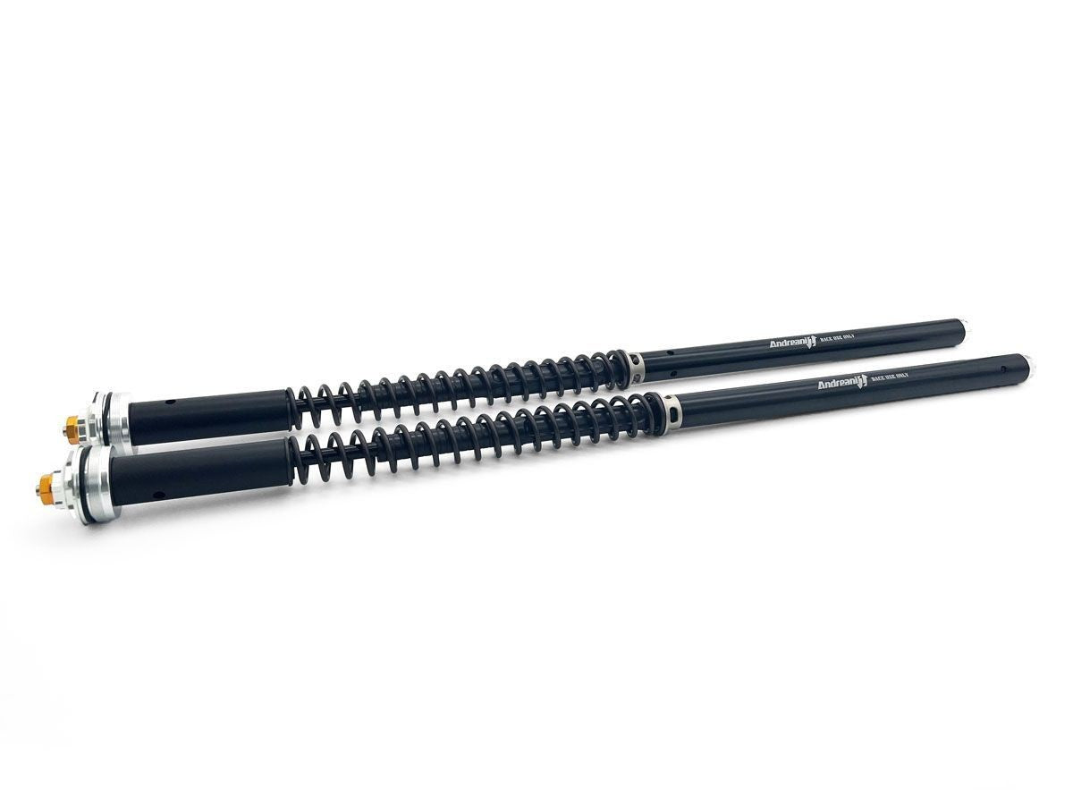 CFD105/T26E Triumph Speed Twin 1200 Adjustable Cartridge Kit