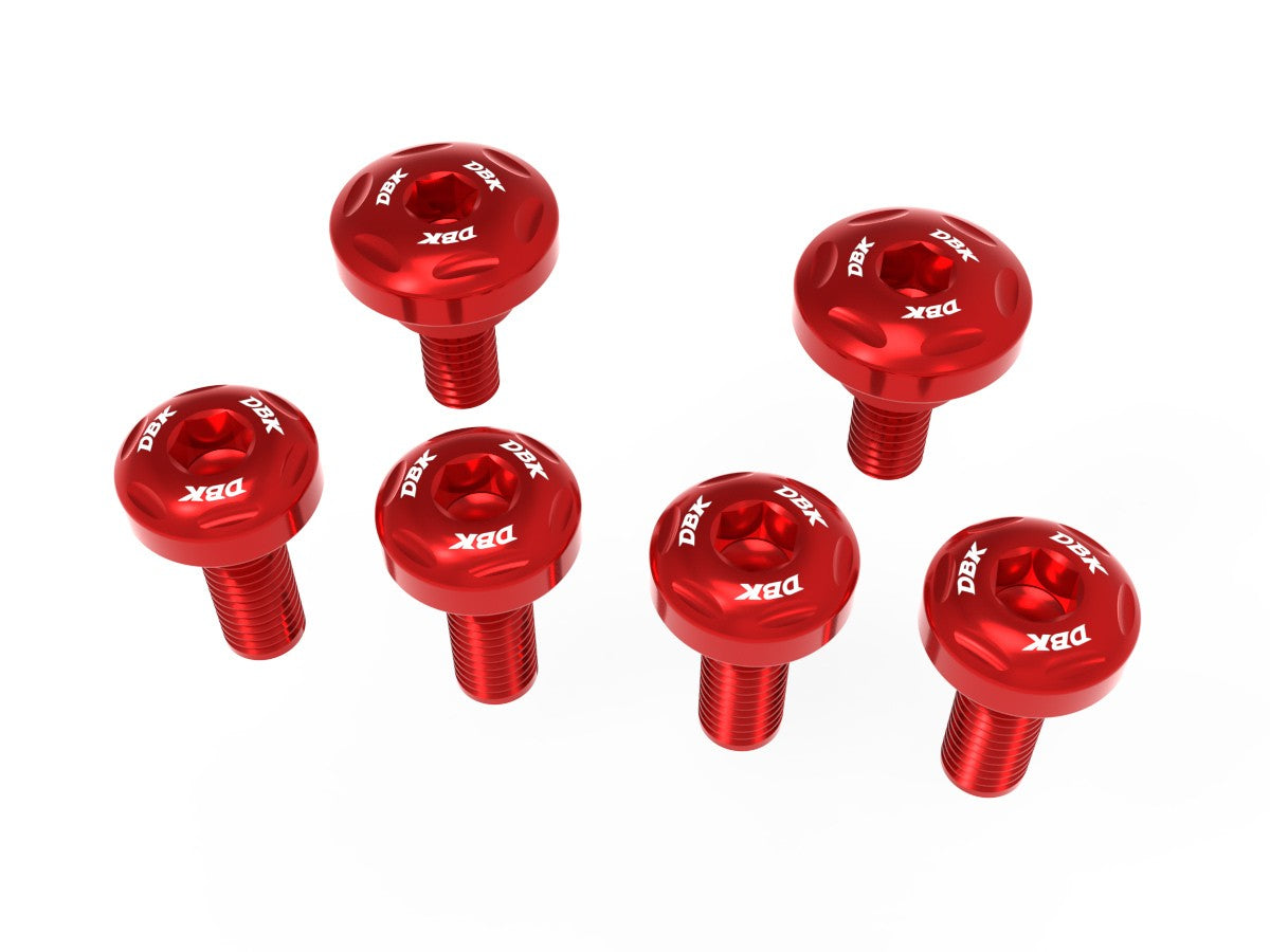 Ducati Panigale V4 2025 Fairing Screw Kit