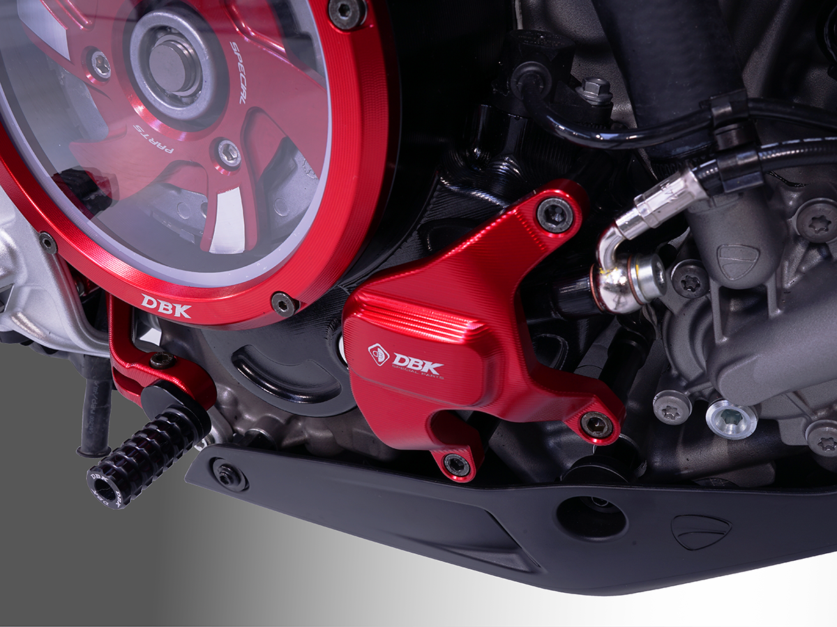 Ducati Hypermotard 698 Mono Engine Protection Kit