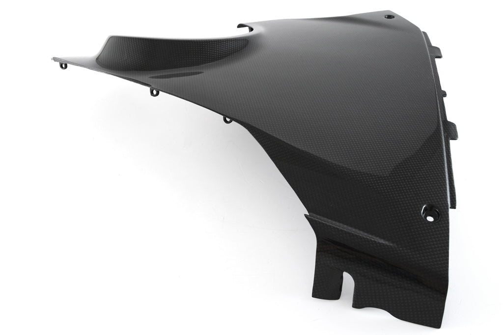 Fairing Side Panel - Lower Right