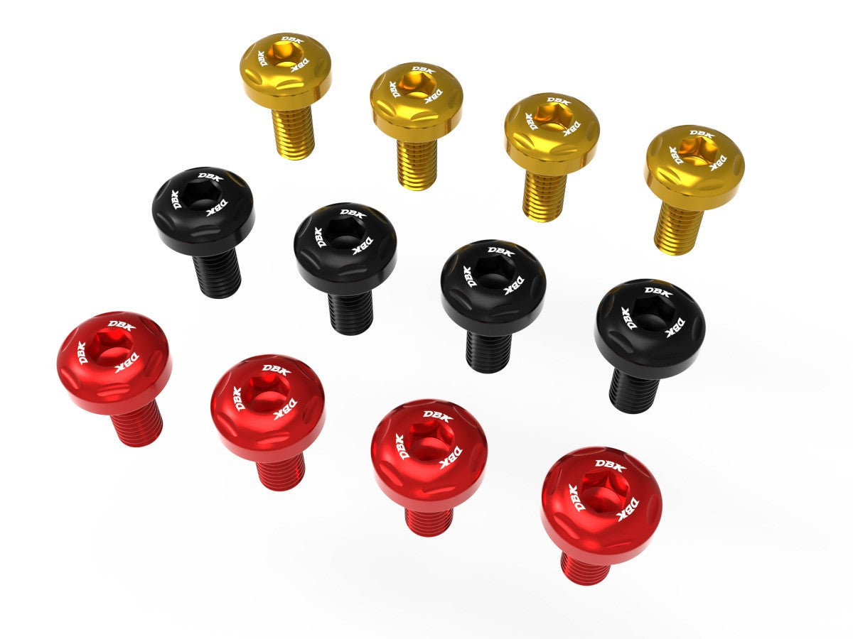 Ducati Panigale V4 2025 Heel Guards Screw Kit