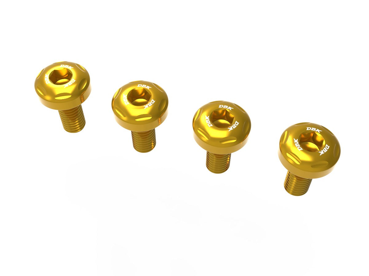 Ducati Panigale V4 2025 Heel Guards Screw Kit