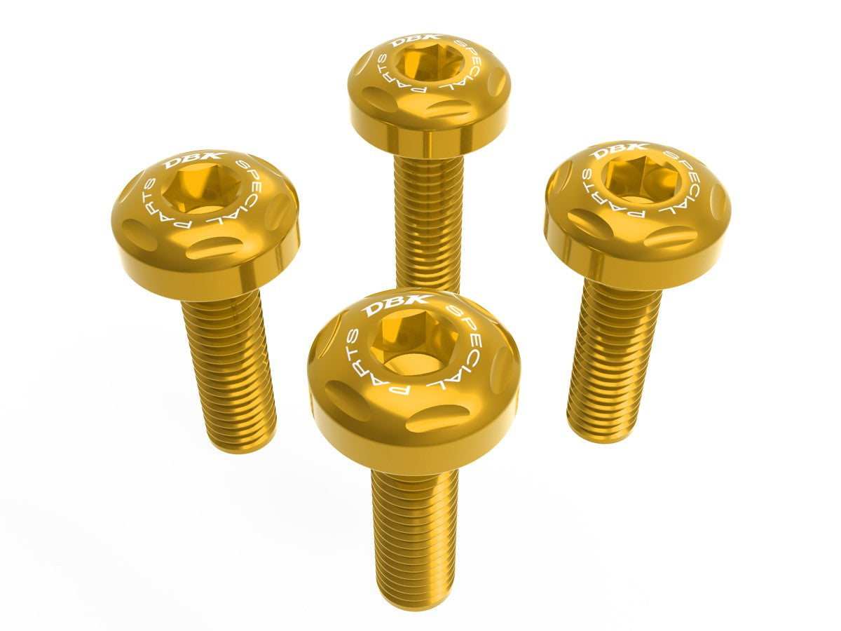 KVT62 Bmw R1300GS Windshield Bolt Kit