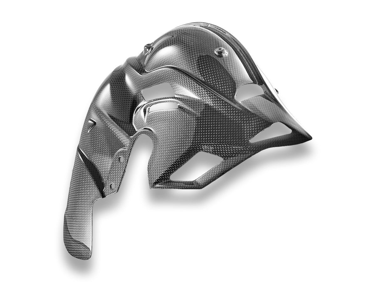 Ducabike DBK Exhaust Cover Glossy Carbon Ducati Panigale / Streetfighter V4 MY2025