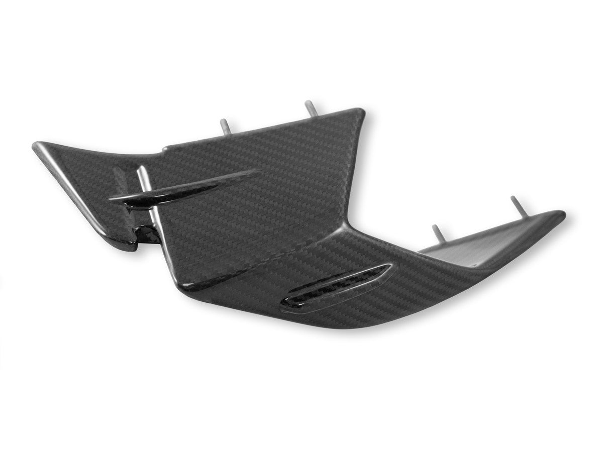 Ducabike DBK BMW S1000RR MY23 Glossy Carbon Winglets