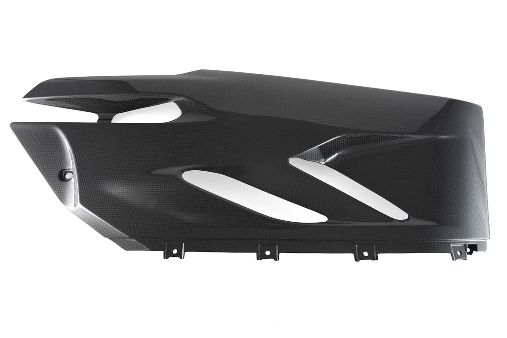 Fairing Side Panel - Lower Left (959 EU Models)