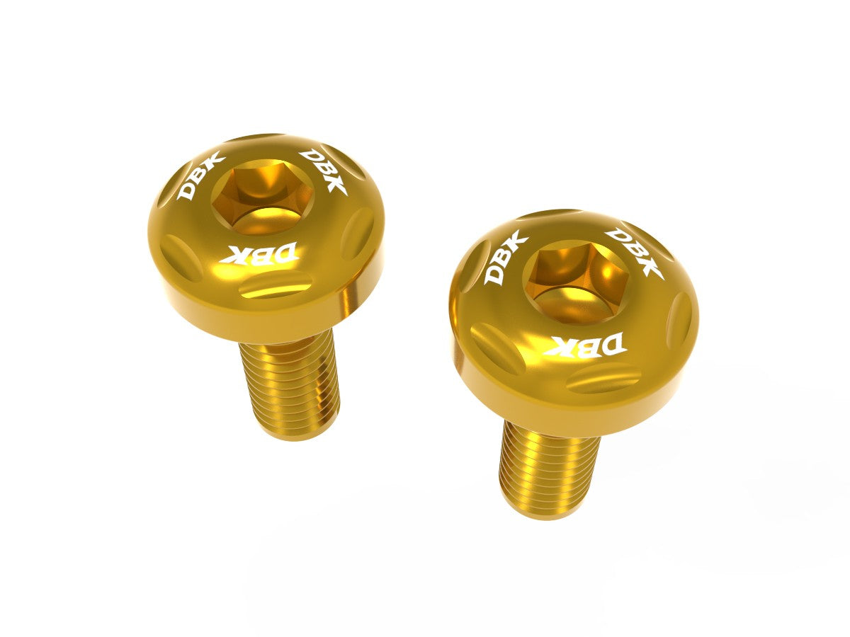 Ducati Panigale V2 2025 Radiator Grille Screws Kit