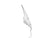 WRS STANDARD WINDSCREEN BMW R1250R 2019-2024
