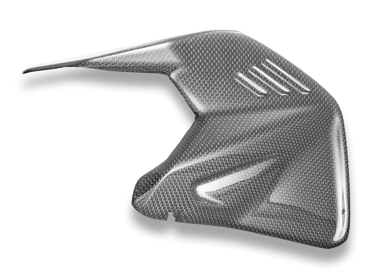 CRB234L PANIGALE/SF V4 MY25 Glossy Carbon Swingarm Protector