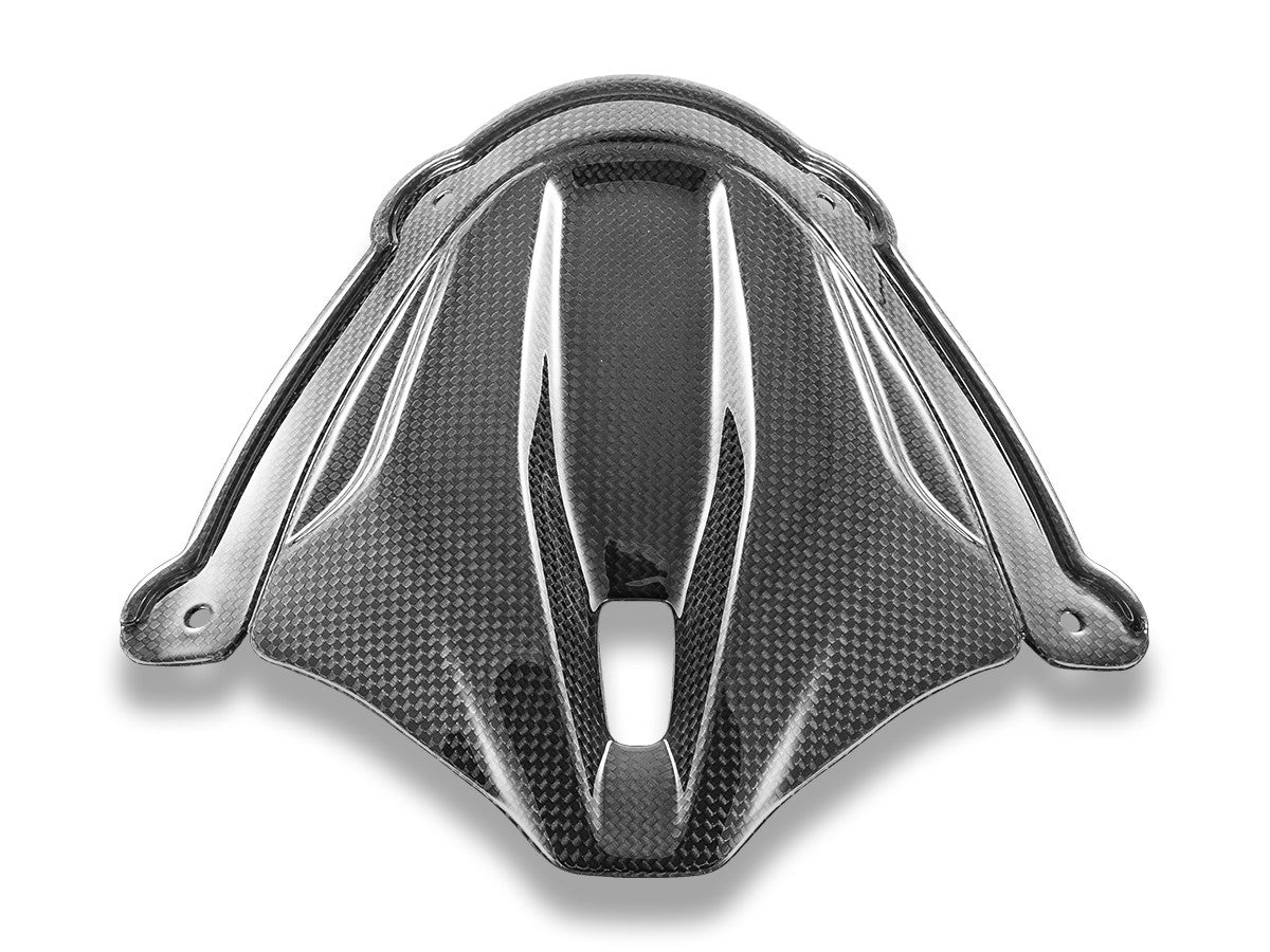 CRB214L Panigale V4 MY25 Glossy Carbon Instrument Cover