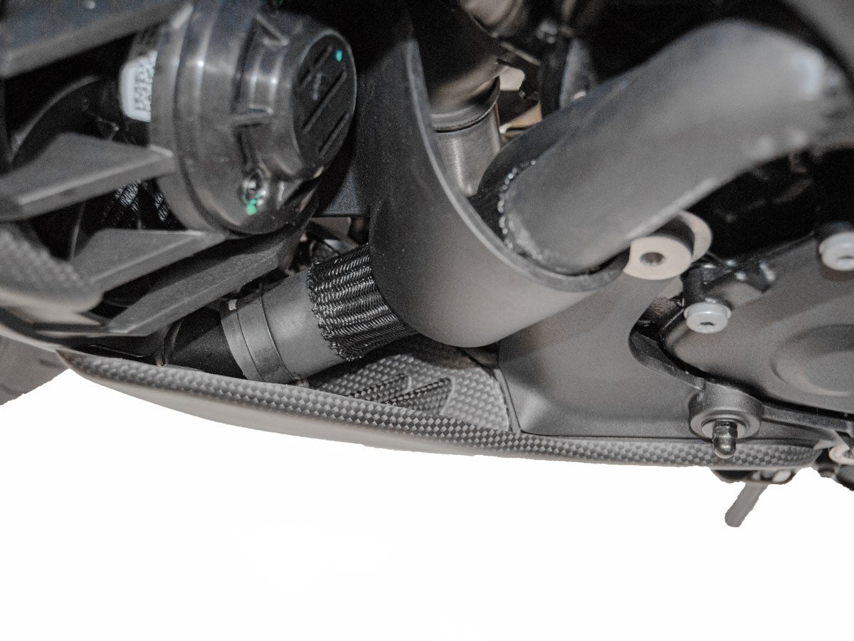 CRB72O Diavel V4 Matte Carbon Side Support