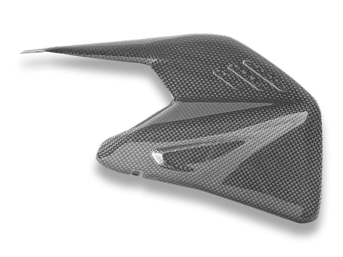 CRB234L PANIGALE/SF V4 MY25 Glossy Carbon Swingarm Protector