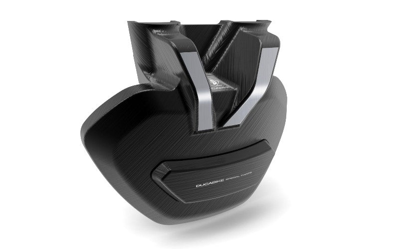 PFXDV01 - XDIAVEL SWINGARM PROTECTION