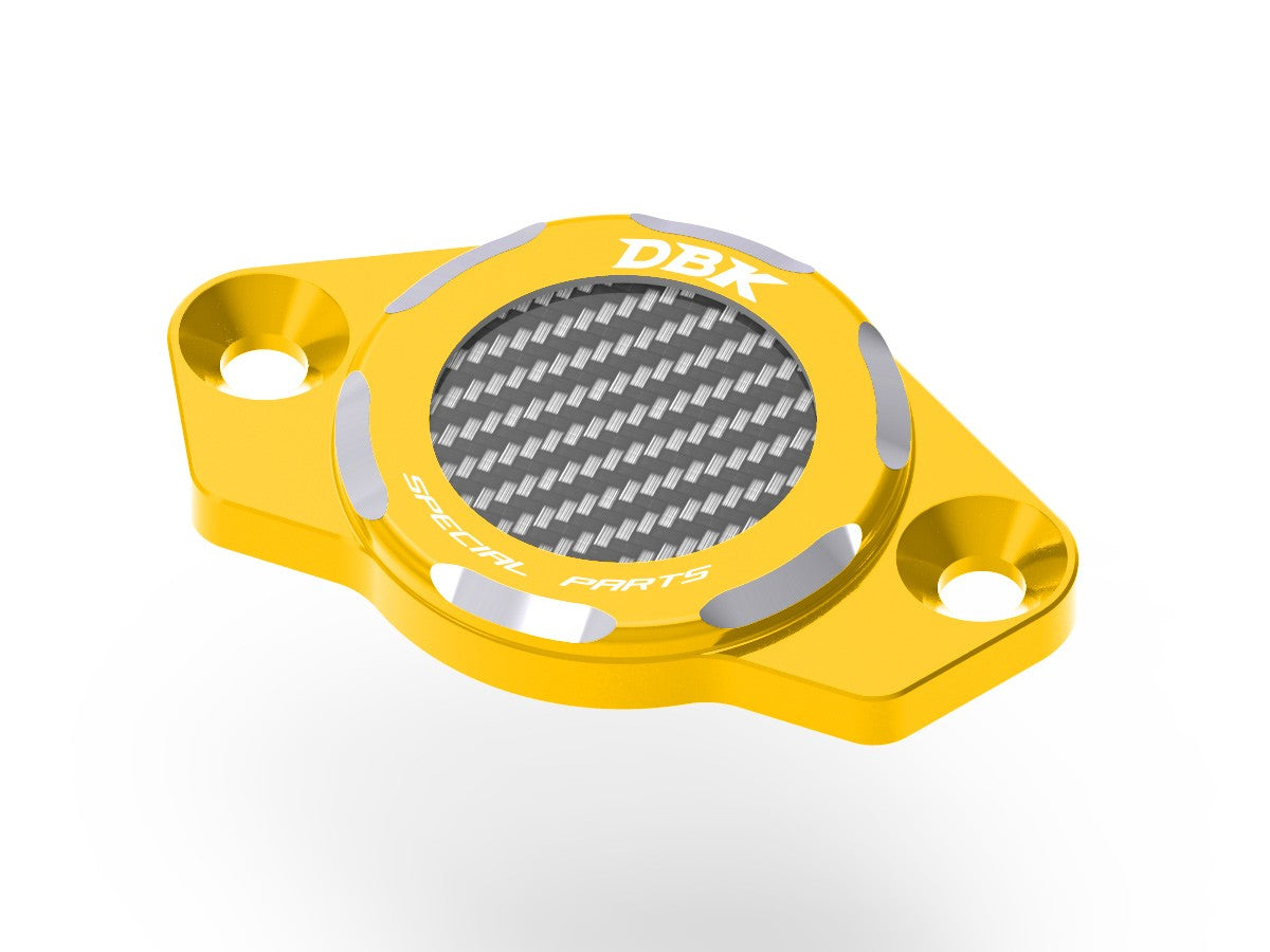 CIF06 Timing Inspection Cover