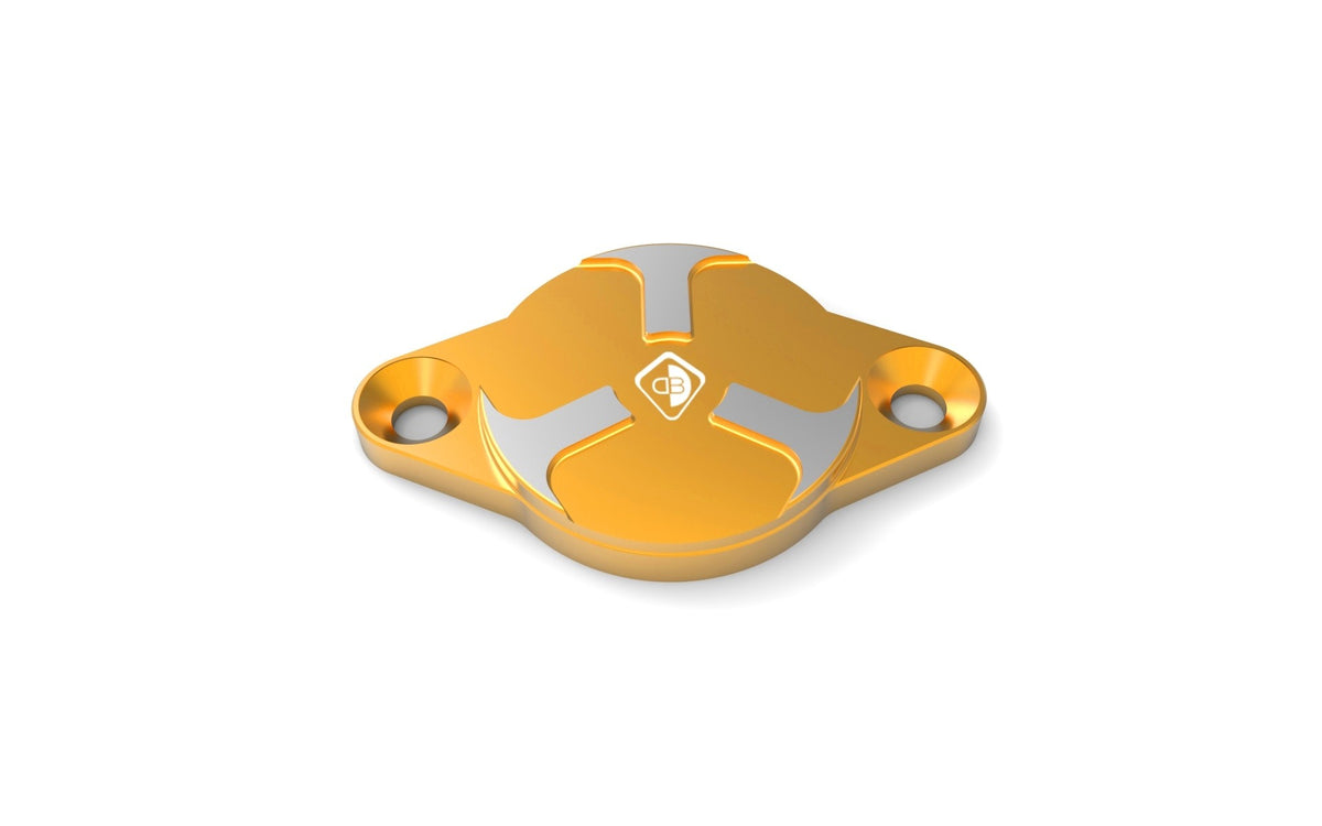 CIF07 Timing Inspection Cover