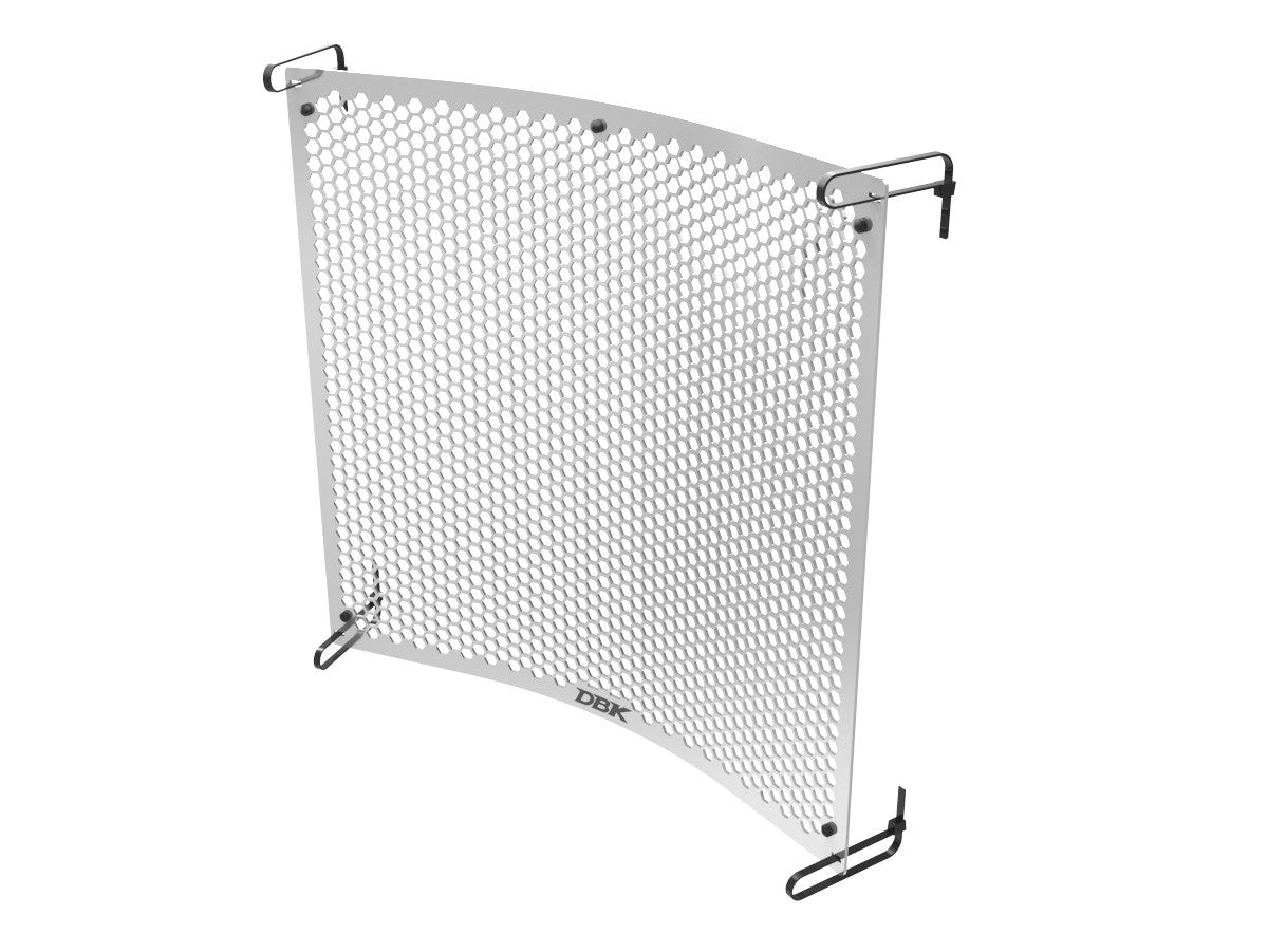 GR30 - TRIUMPH 765 WATER COOLER PROTECTION