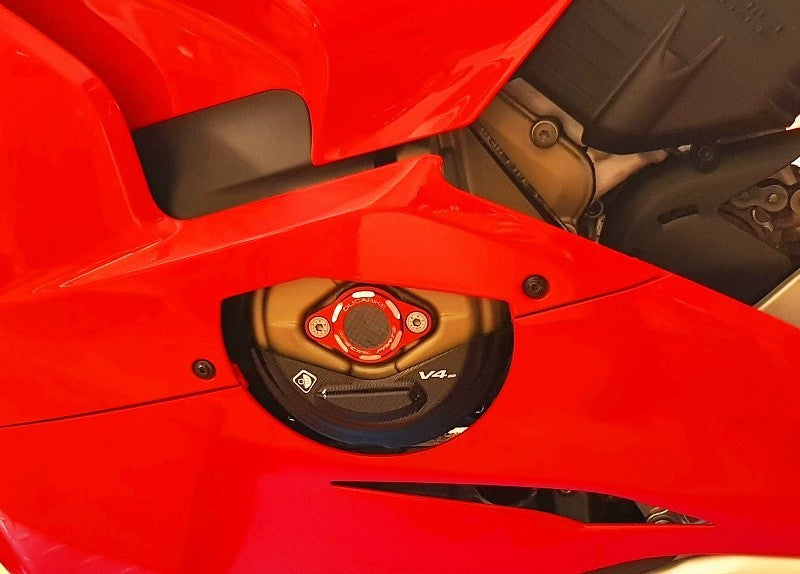 SLI06D - V4 SLIDER ALTERNATOR COVER PROTECTION