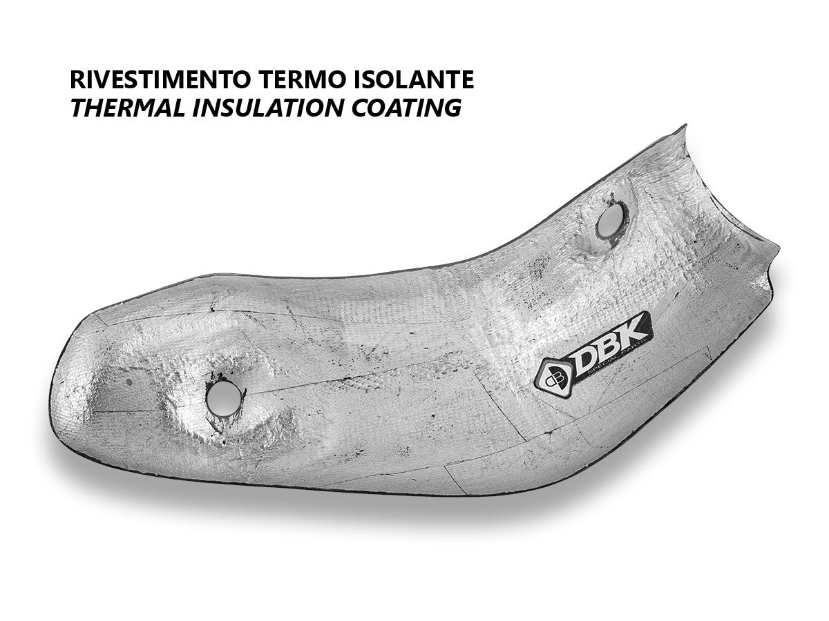 CRB208O MTS V4 RS Carbon Exhaust Guard