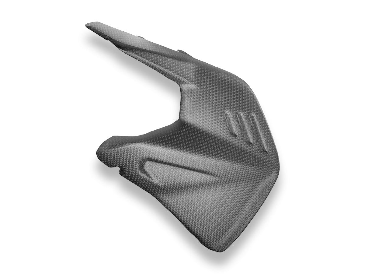 CRB234O PANIGALE/SF V4 MY25 Carbon Swingarm Protector
