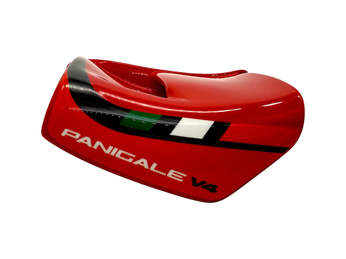 WRS FIBERGLASS WINGLETS DUCATI PANIGALE V4 / S 2025