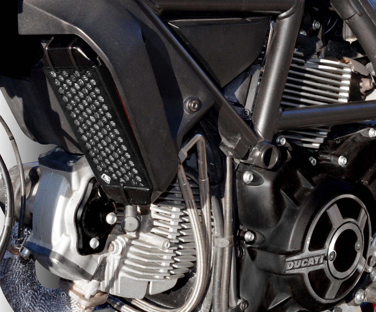 GR03 Scrambler Oil Cooler Guard