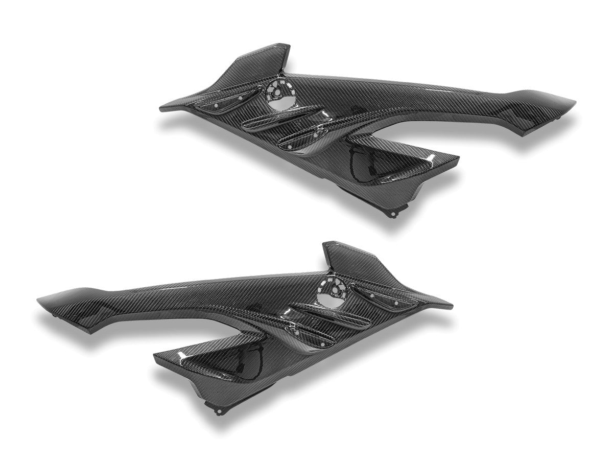 CRB219L BMW S1000RR My23 Glossy Carbon Side Panel Infill
