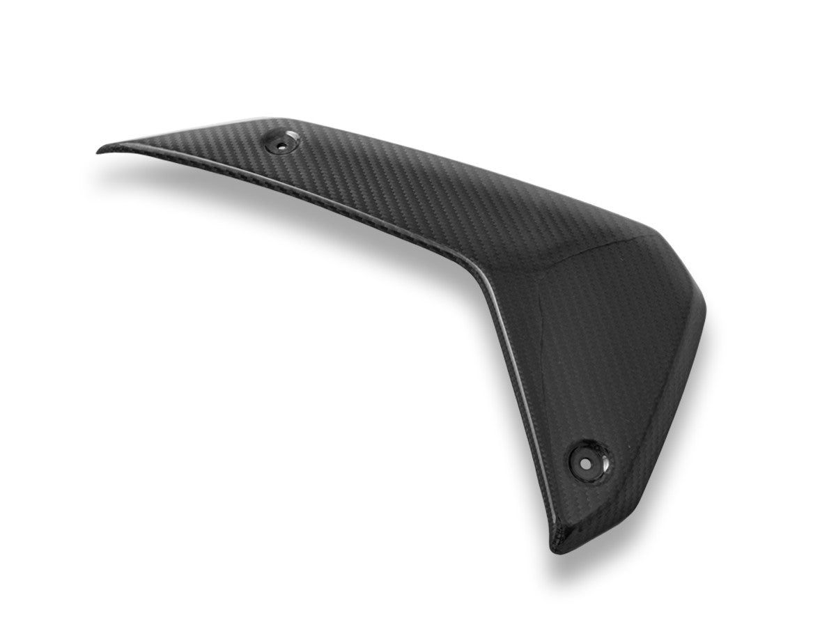 CRB180L BMW R1300GS Glossy Carbon Side Panels