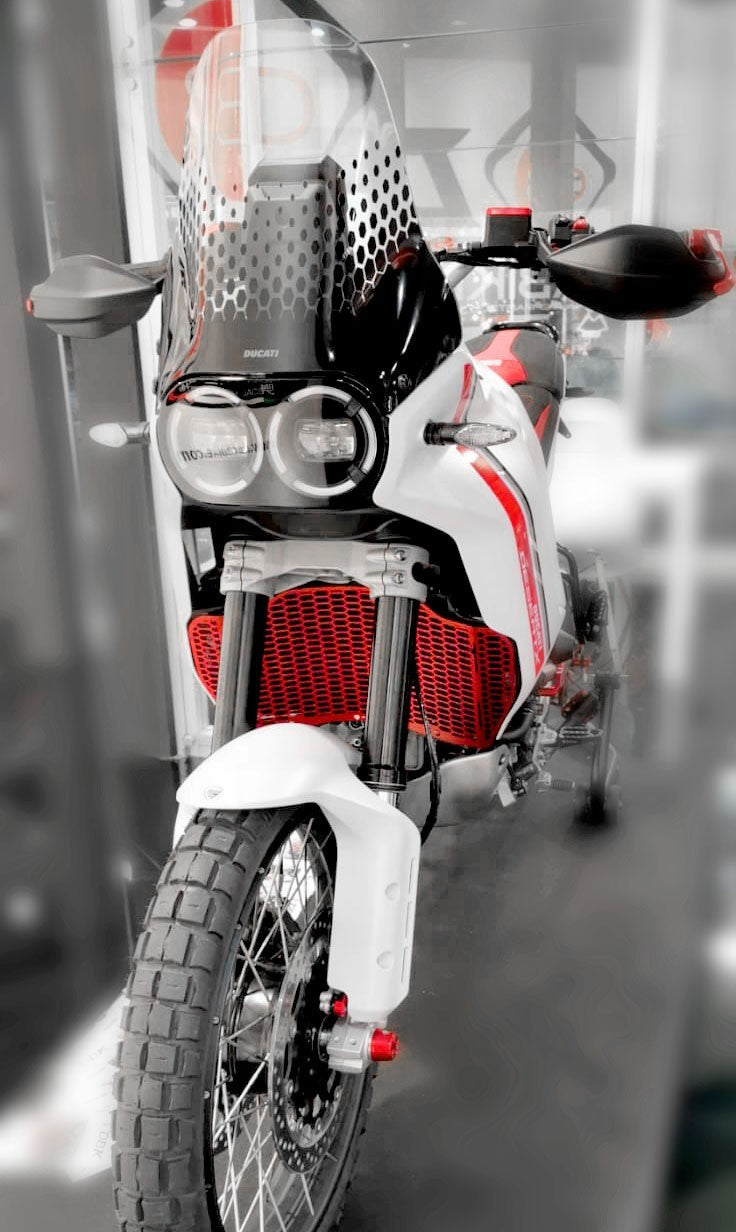 GR14 DesertX H20 Radiator Guard