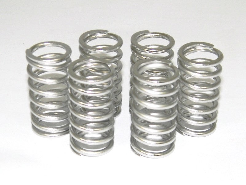 6M01 - KIT CLUTCH SPRINGS