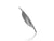 WRS SPORT WINDSCREEN DUCATI STREETFIGHTER V4 / S 2020-2024