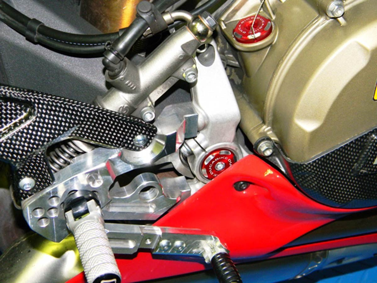 TT119902 Frame Caps 899 / 1199 Panigale Bicolor