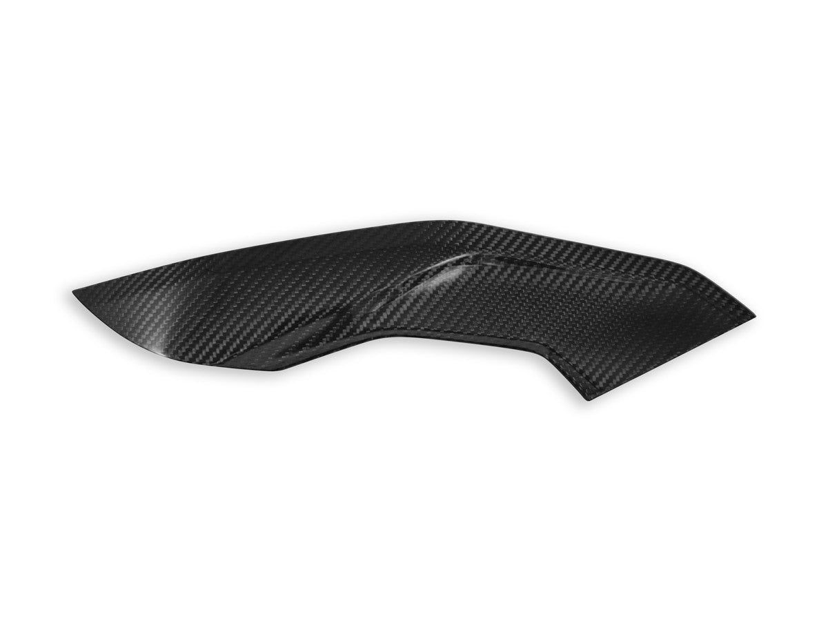 CRB139L - BMW S1000R SIDE PANELS POLISHED CARBON