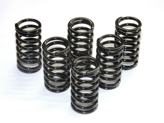 6M01 - KIT CLUTCH SPRINGS