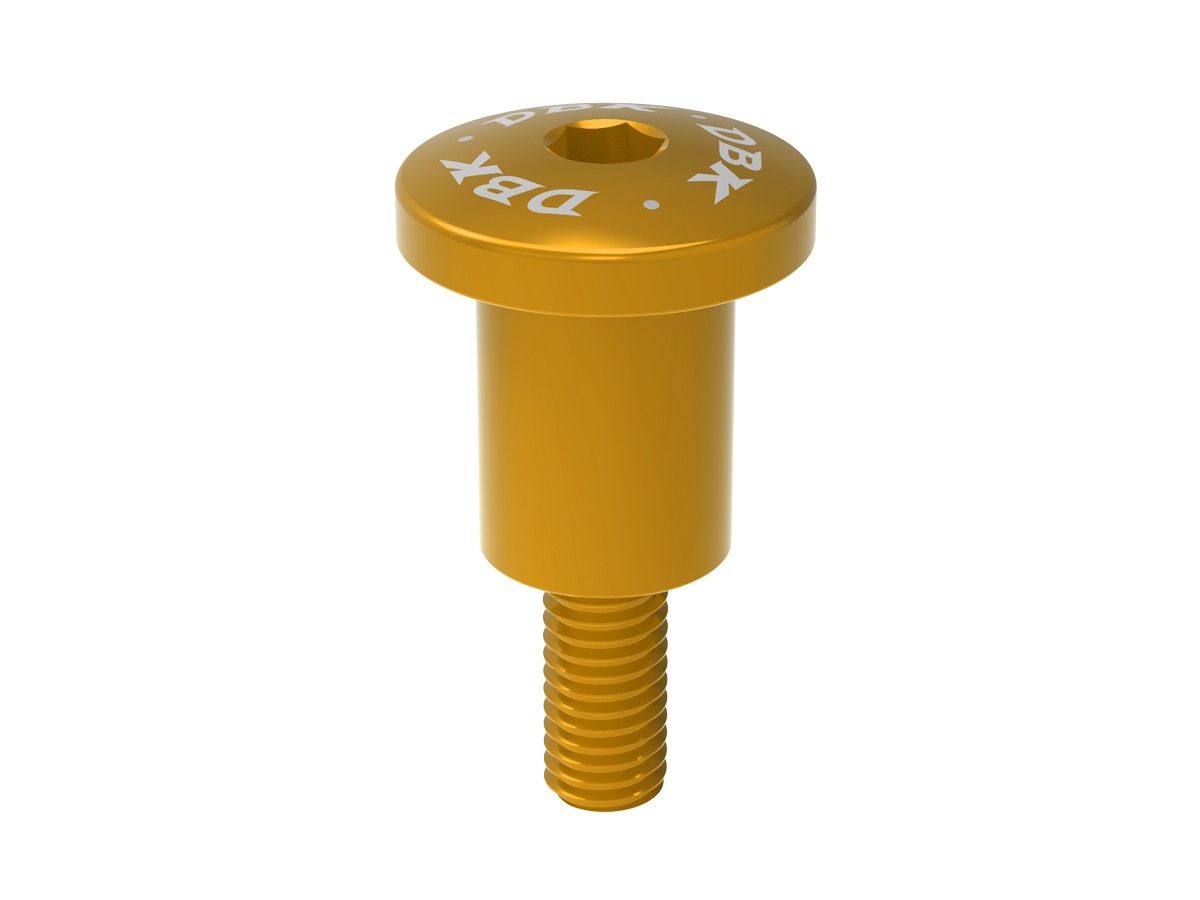 VITE01 - BRAKE / CLUTCH TANK SCREW