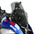 WRS WINDSCREEN STANDARD PLUS NO RADAR BMW R 1300 GS 2023-2025
