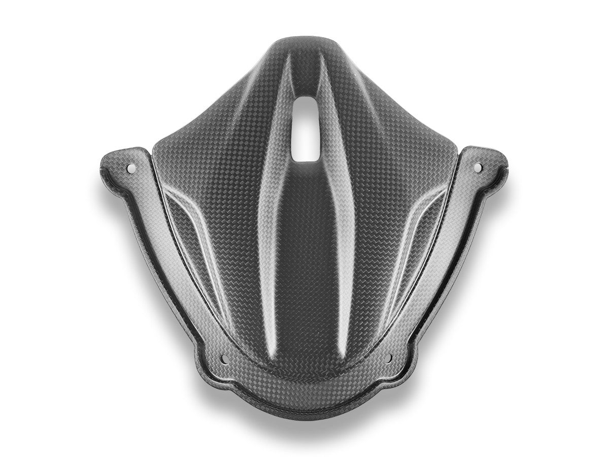 CRB214O Panigale V4 MY25 Carbon Instrument Cover