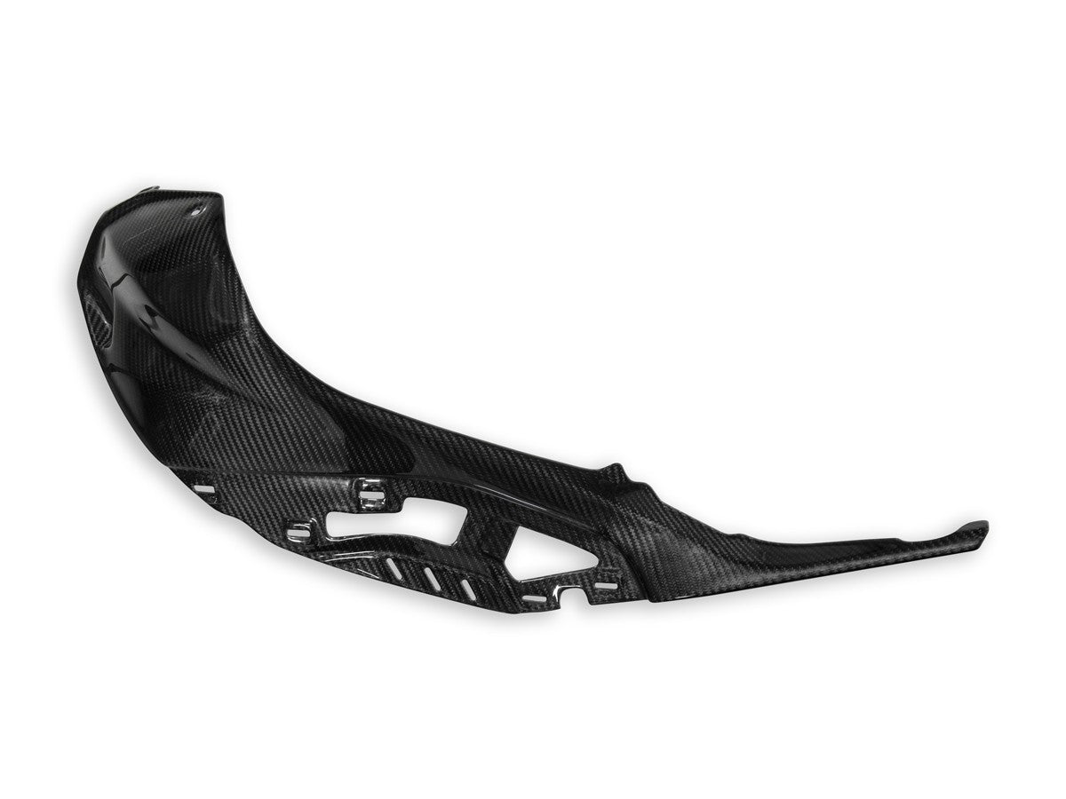 CRB138L - BMW S1000R POLISHED CARBON TANK COVER