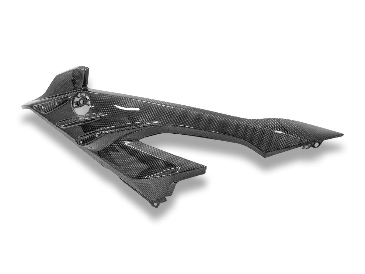 CRB219L BMW S1000RR My23 Glossy Carbon Side Panel Infill