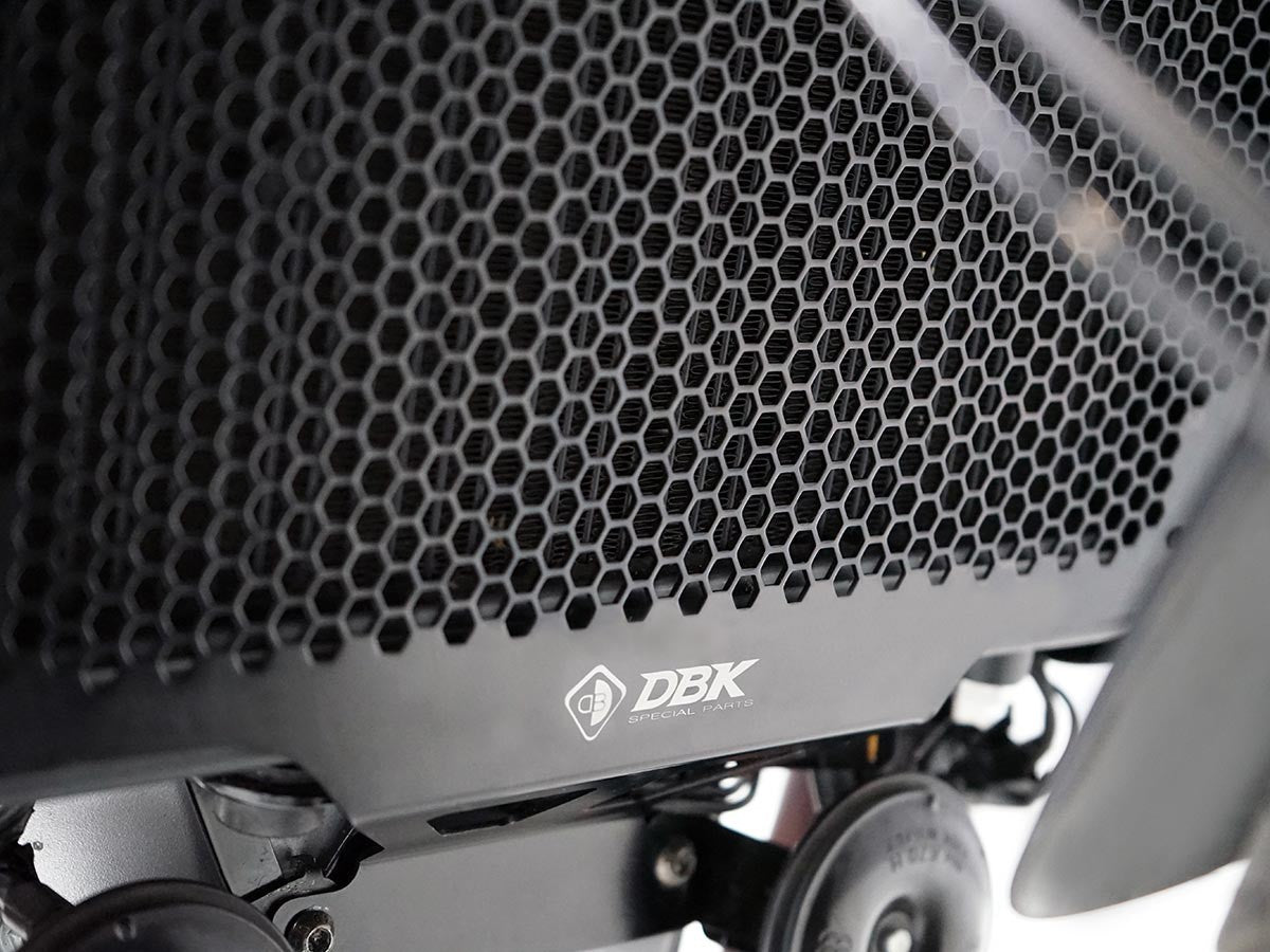 GR23 - MOTO GUZZI STELVIO WATER RADIATOR GUARD